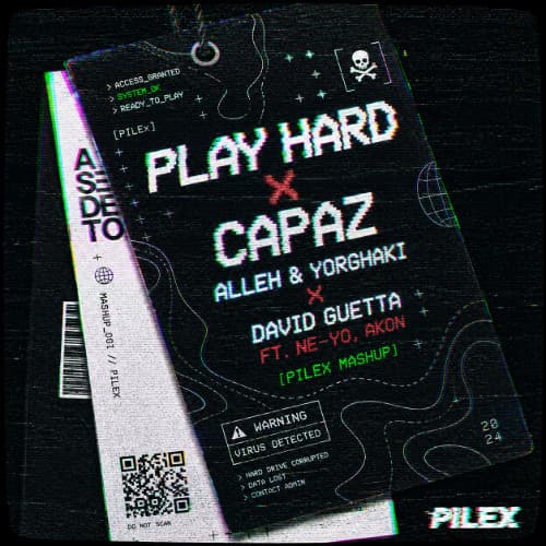 Play Hard X Capaz - Alleh & Yorghaki X David Guetta ft. Ne-Yo, Akon (Pilex Mashup)