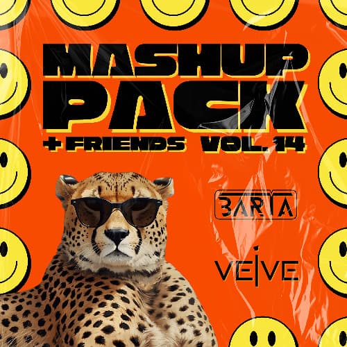 Discoteka x Rock That Body (Pilex x BARTA & VEIVE Mashup)