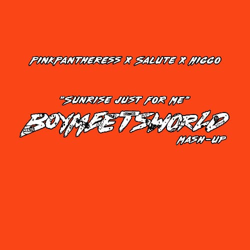 PinkPantheress x Salute x Higgo - Sunrise Just For Me (BOYMEETSWORLD Mashup) (Sammy Virji Remake)