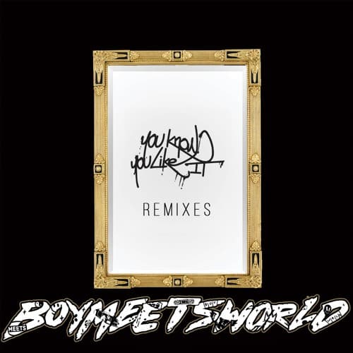 Tchami, AlunaGeorge - You Know You Like It (BOYMEETSWORLD Remix)