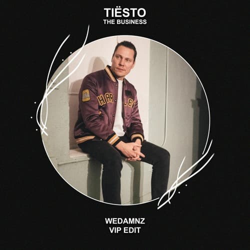 Tiësto - The Business (WeDamnz VIP Edit)