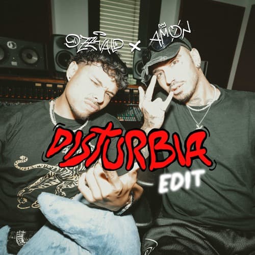 OZZWALD x AMØN - DISTURBIA (EDIT)