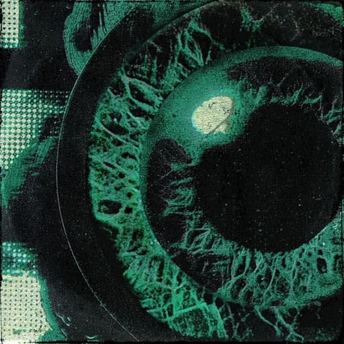 Lushreds - Don't Kill My Vibe