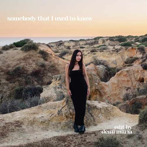 Somebody That I Used To Know (Demi Maria edit) *filtered preview*