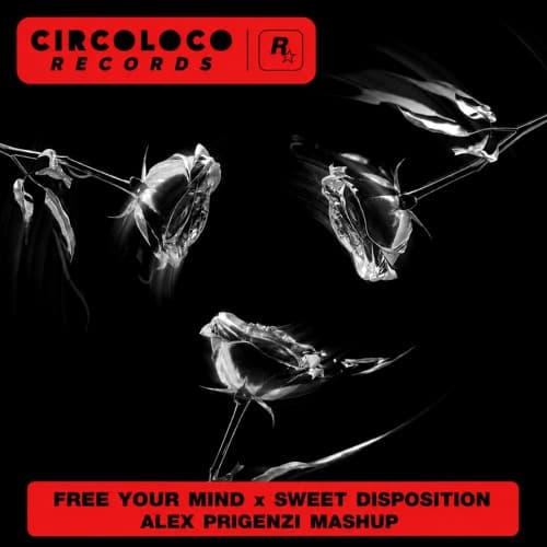 FREE YOUR MIND x SWEET DISPOSITION (ALEX PRIGENZI MASHUP)