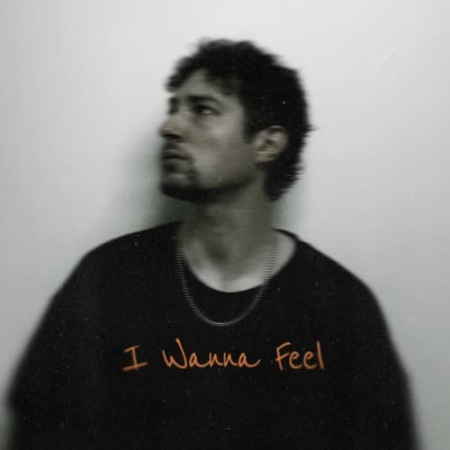 I Wanna Feel