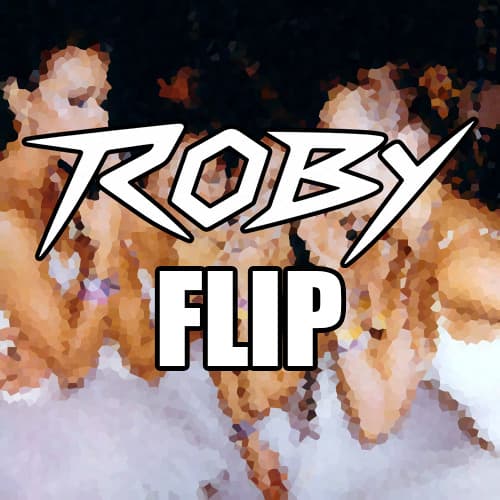 jigitz - car crash (ROBY flip)