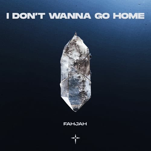 Fahjah - I Don't Wanna Go Home (Extended Mix)