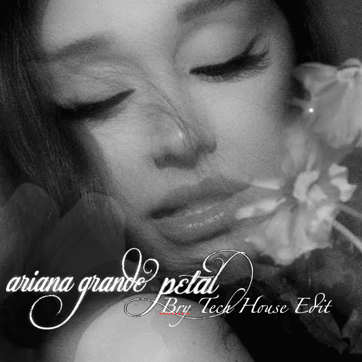 Ariana Grande x John Summit - Petal (BRY Tech House Edit)
