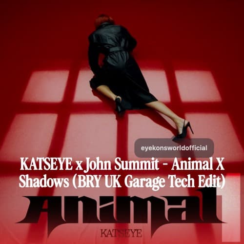 KATSEYE x John Summit - Animal X Shadows (BRY UK Garage Tech Edit)
