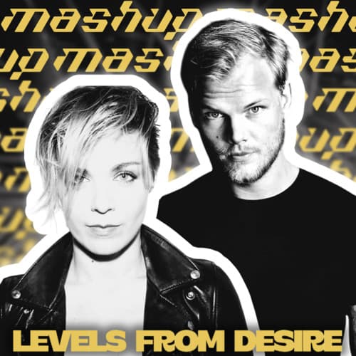 Levels From Desire (BoudaBeats Mashup)