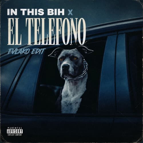 IN THIS BIH X EL TELEFONO (FVLAKO Edit)