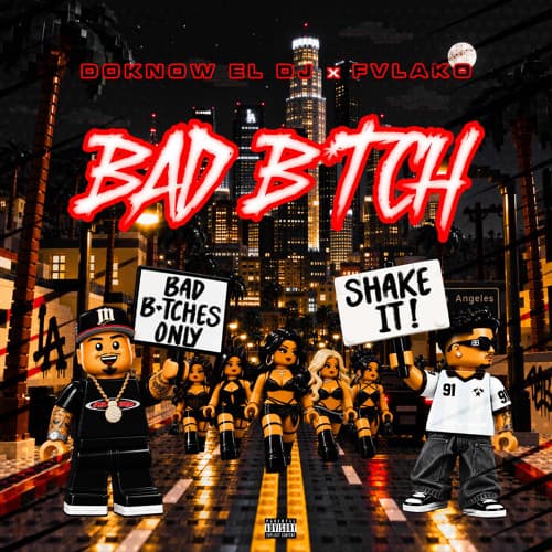 BAD BITCH - Doknow El Dj, FVLAKO