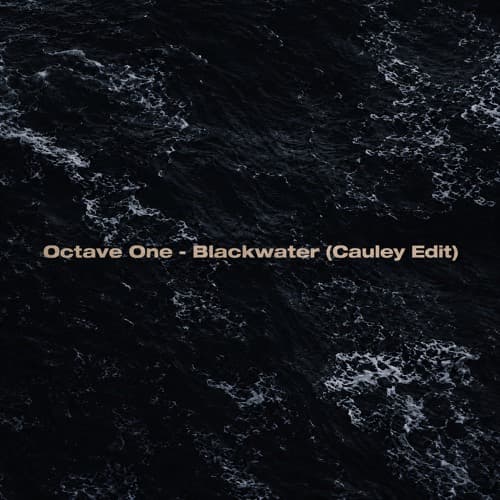 OCTAVE ONE - BLACKWATER ( CAULEY ROLLING EDIT )
