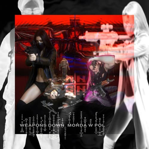 WEAPONS DOWN ┼ MORDA W POL