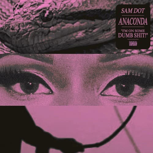 Nicki Minaj - ANACONDA (Sam Dot Edit)