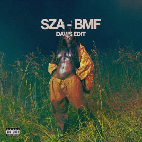 BMF (Davis Edit) #1 POP
