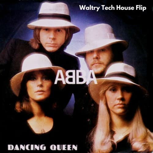Dancing Queen (Waltry Tech House Flip) Supported by: Rave Republic, Agatino Romero, Bougenvilla