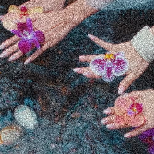 no na - shoot (NAJ Disko Cut)