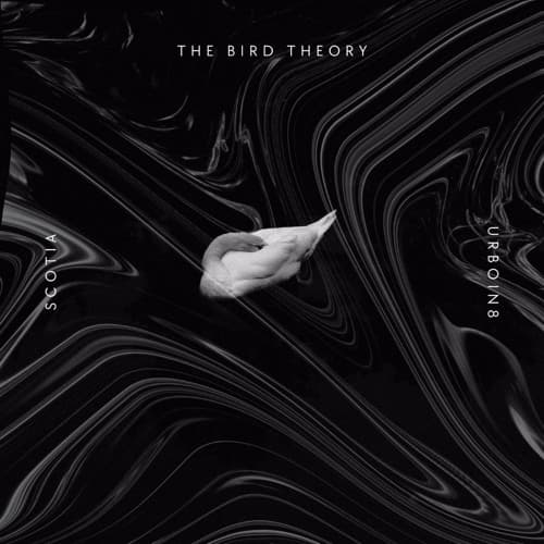 The Bird Theory
