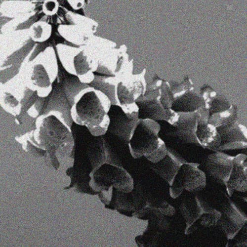 Flume - Helix (odd language remix)