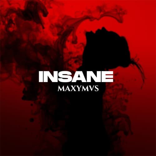 MAXYMVS - INSANE (Original Mix) - FREE DL