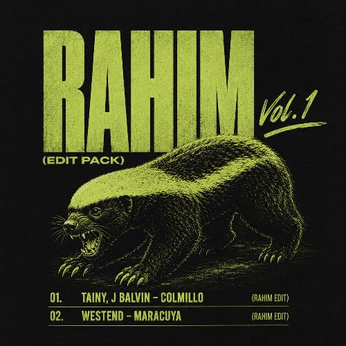 Tainy, J Balvin - COLMILLO (RAHIM Edit) (FREE DL)