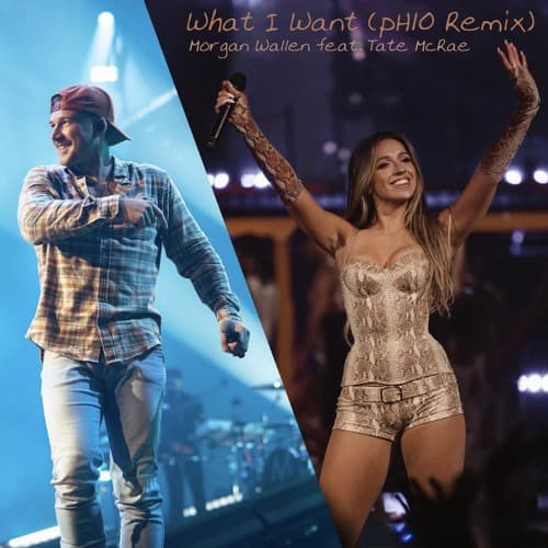 Morgan Wallen x Tate McRae - What I Want (pH10 Remix)