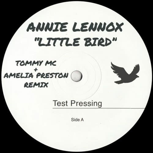 Annie Lennox - Little Bird (Tommy Mc & Amelia Preston Remix)