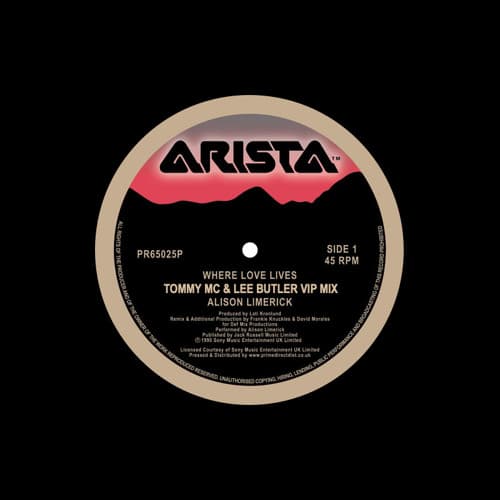 Alison Limerick - Where Love Lives (Tommy Mc x Lee Butler VIP Mix)
