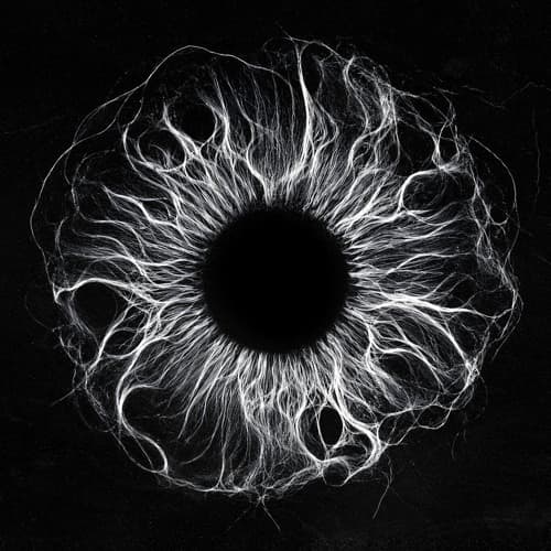 ANSWR, Lacey - Self Aware (FREE DL)