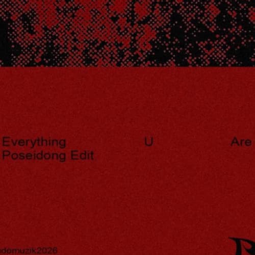 Everything U Are (Poseidong 'BKB' Edit) - LINK UPDATE