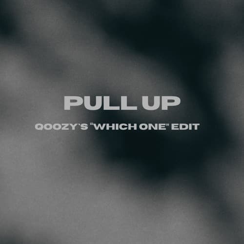 Pull Up (qoozys "Which One" Edit)