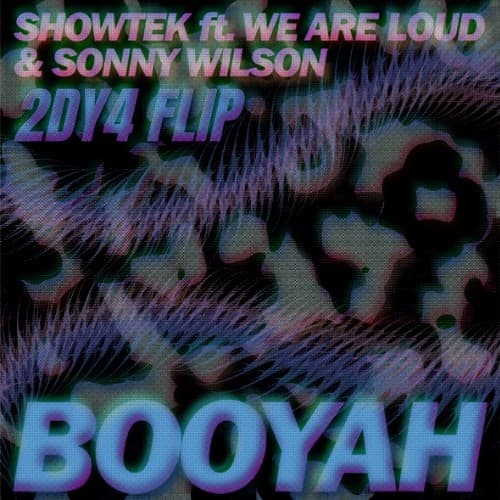 SHOWTEK - BOOYAH (2DY4 FLIP)
