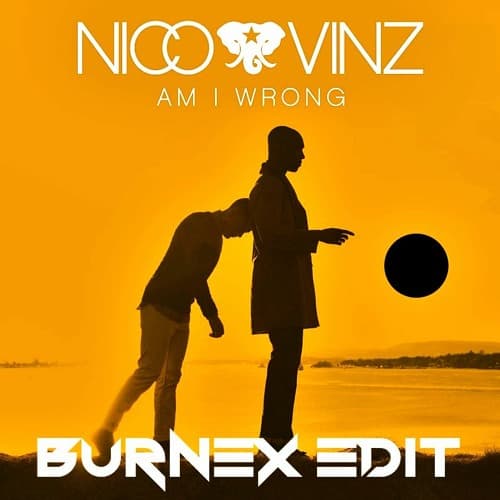 Nico & Vinz - Am I Wrong (Burnex Edit) (FILTERED FOR COPYRIGHT, HIT THE DOWNLOAD BUTTON)