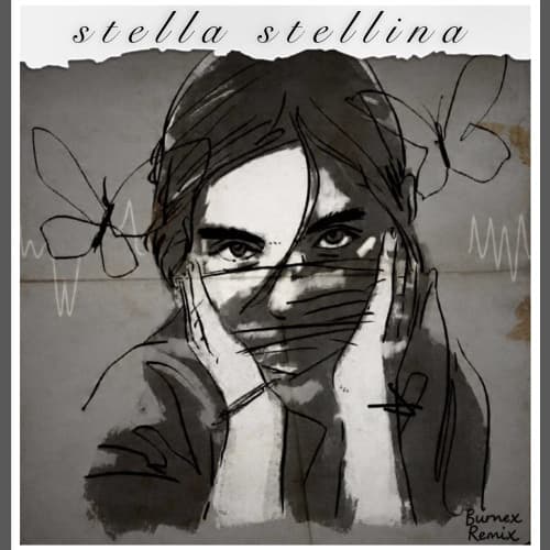 Ermal Meta - Stella Stellina (Burnex Remix) #SANREMO2026