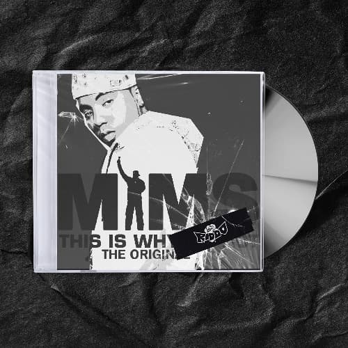 MIMS - This Is Why I'm Hot (riddo. Remix)