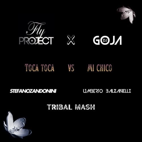 Fly Project X Dj Goja - Toca Toca Vs Mi Chico (Stefano Zandonini & Umberto Balzanelli Tribal Mash)
