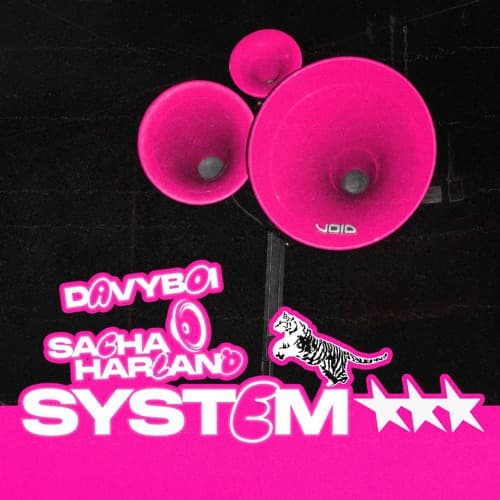 Davyboi, Sacha Harland - System