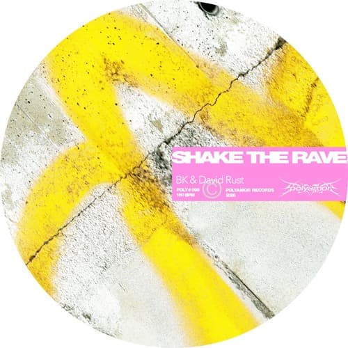 BK & David Rust - Shake the Rave