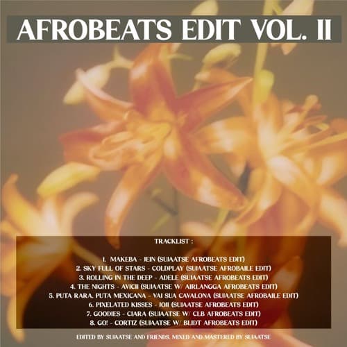 pixelated kisses (sujaatse afrobeats edit)