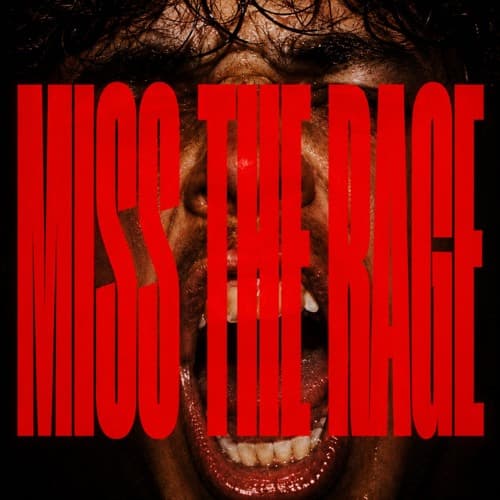 MISS THE RAGE (FUZZ & SEIN CRANK REMIX)
