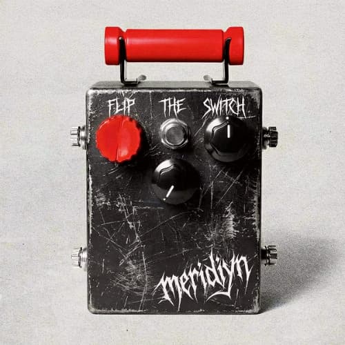 Meridiyn - Flip the Switch