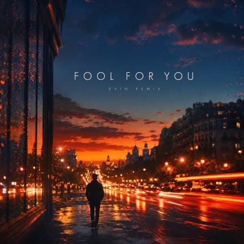 Fool for you (Evin Remix)