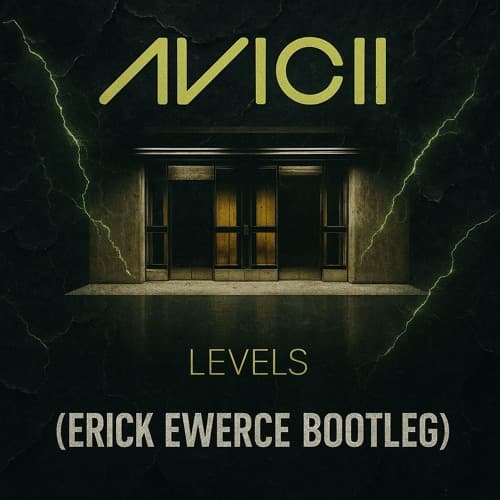 LEVELS (EVERZE BOOTLEG) *FILTERED*