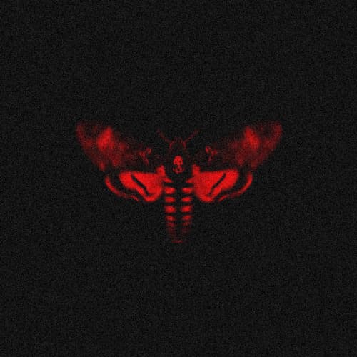 Lil Wayne- Love me (BFoxx remix) Free download