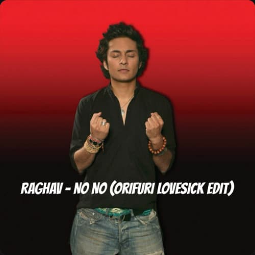 Raghav - No No (ORIFURI Lovesick EDIT)