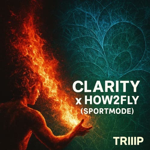 Clarity X how2fly (sportmode) - TRIIIP Edit