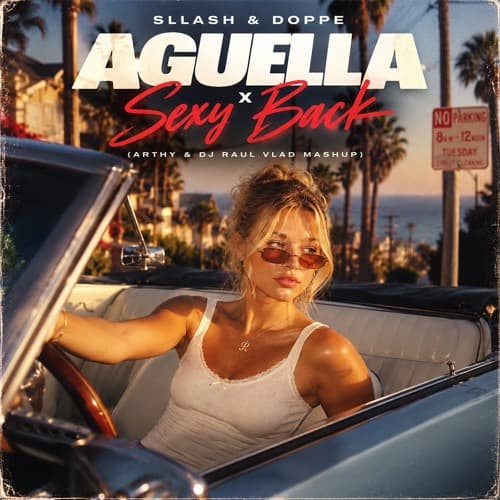 Sllash & Doppe - Aguella x Sexy Back (Arthy & Dj Raul Vlad Mashup)