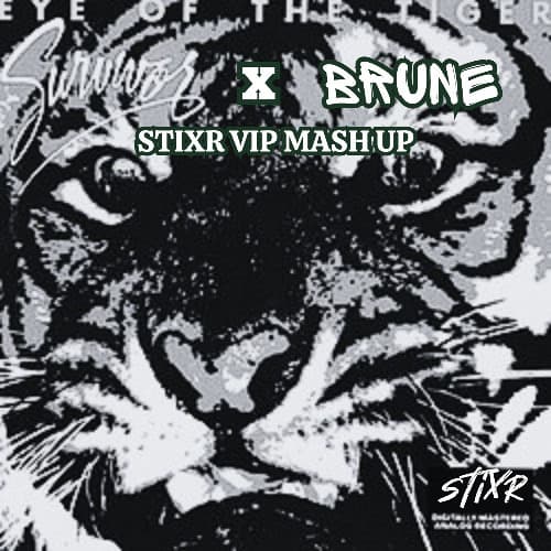Eye of the Tiger x Brune (STIXR AFRO MELODIC MASH UP)